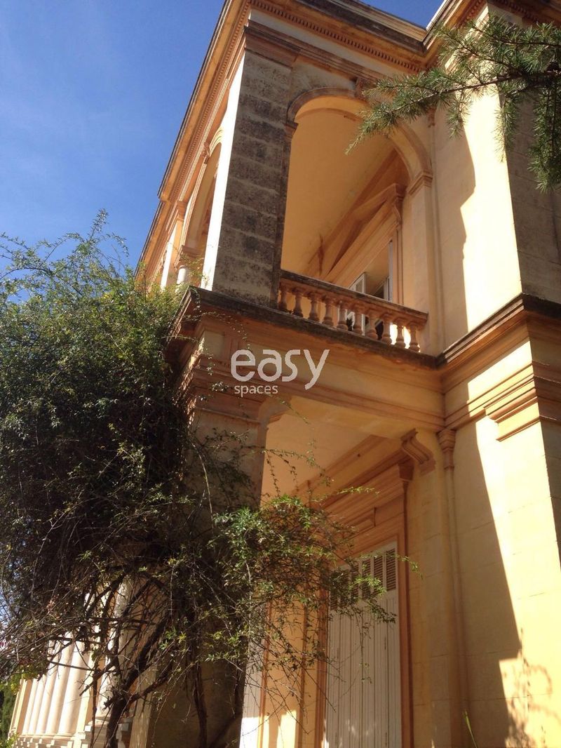 décor événementiel cannes